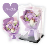 SH-020_purple_.jpeg