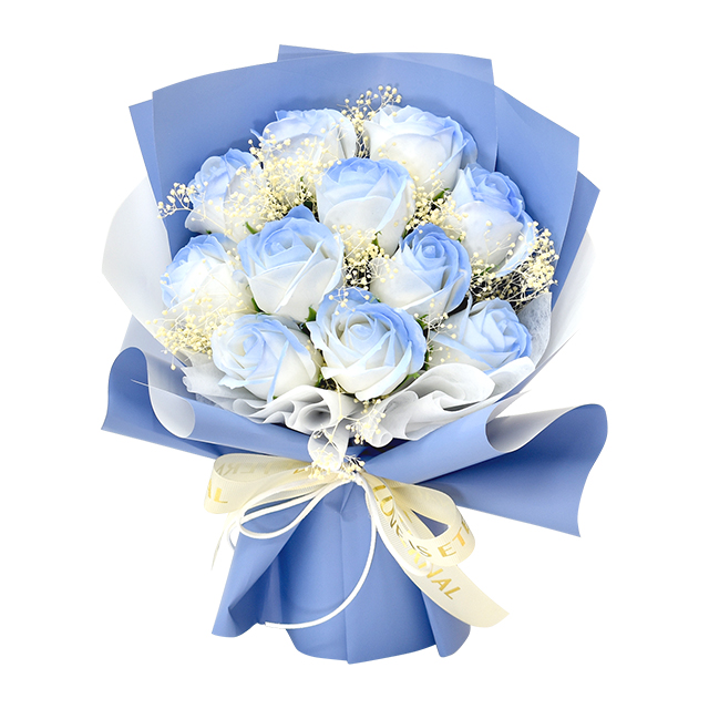 sbl-198_blue.jpeg